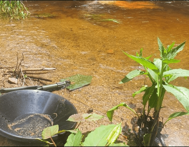 Goldwaschen am Rhein - für die Schulklasse wird das Abenteuer während der Klassenfahrt nach Köln selbst zu einem unvergesslichen Schatz. Im Bild eine Waschpfanne am Flussufer